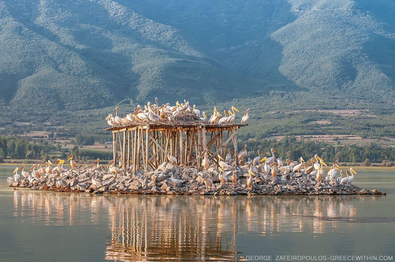 Οι Τρεις Καλύτεροι Ρομαντικοί Προορισμοί Κοντά στη Θεσσαλονίκη-Απολαύστε μία ρομαντική περιήγηση στη λίμνη Κερκίνη-AlphaDrive
